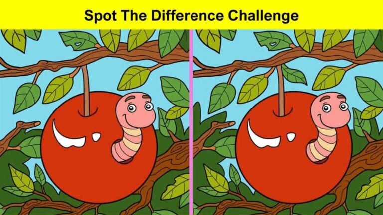 Spot the difference challenge
