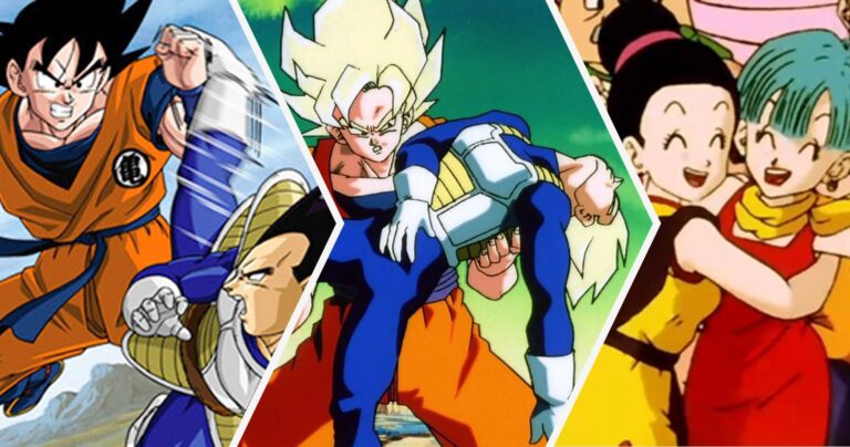 Dragon Ball: 20 Crazy Secrets About Goku And Vegeta's Friendship