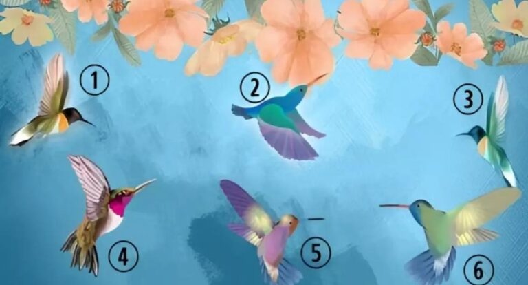 El primer colibrí que elijas aquí determinará cuál es tu verdadera personalidad