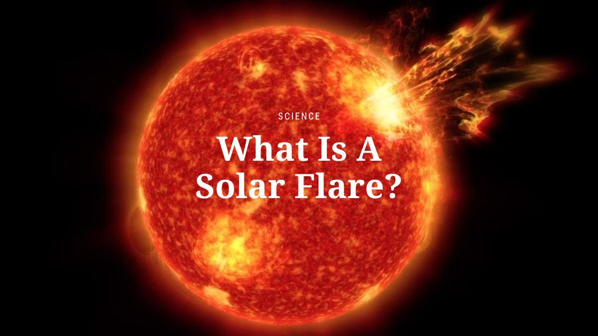 Explained What Is A Solar Flare Vn