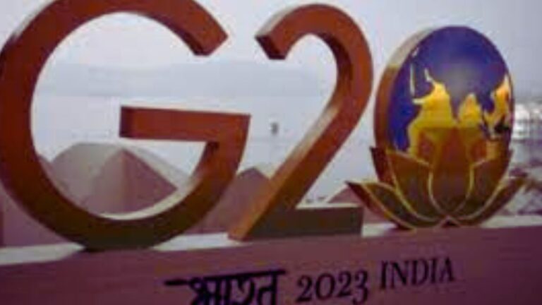 G20 Summit 2023: What Is Open In Delhi? What Is Closed? Here