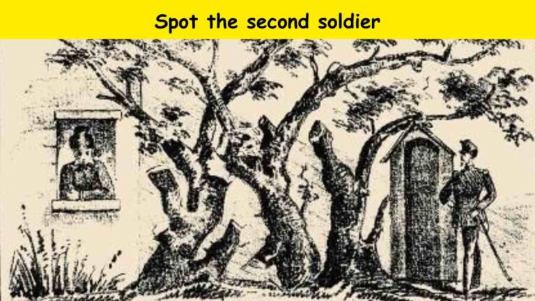 Optical Illusion- Spot the second soldier in 8 seconds