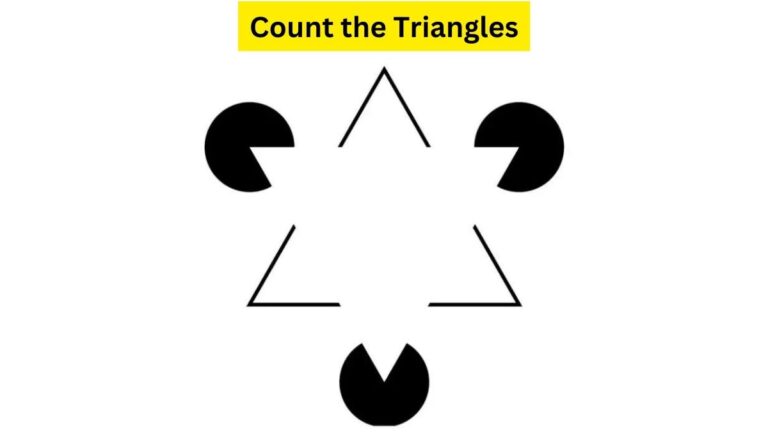 Only a logic expert can find right number of triangles.