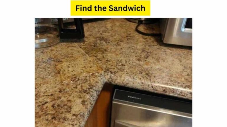 Do you see a sandwich here?