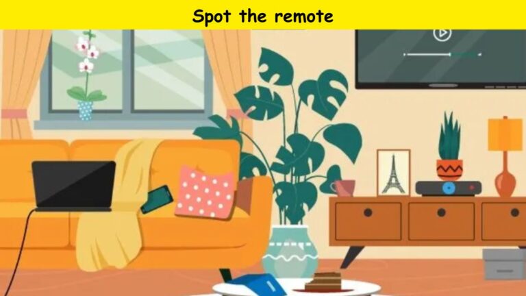 Spot the remote in 5 seconds