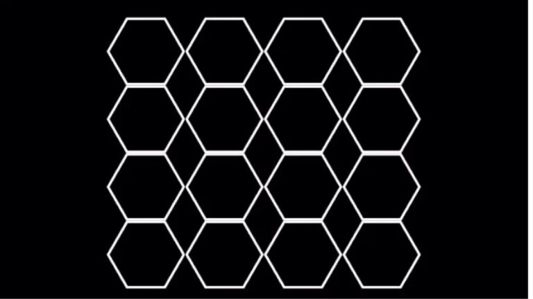 How Many Hexagons Do You See In The Picture?