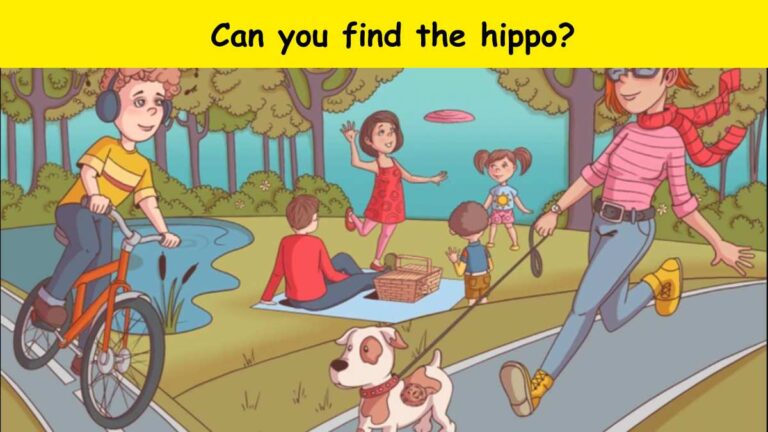 Optical Illusion- Find the hippo in 7 seconds
