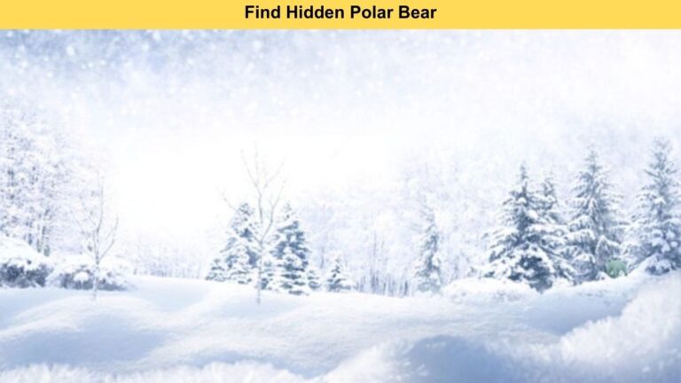 Find the polar bear in the snow within 8 seconds!