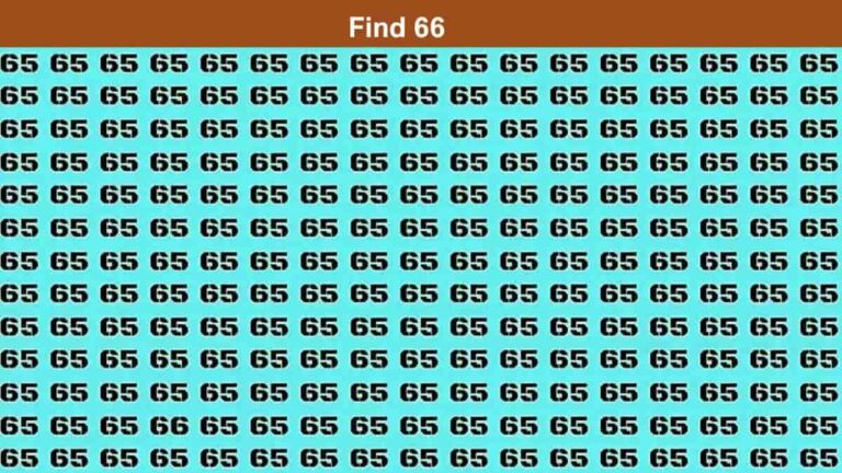 Spot 66 among 65s in 3 seconds
