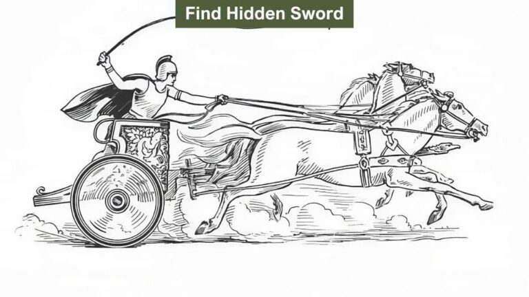 Find the soldier’s hidden sword in 9 seconds