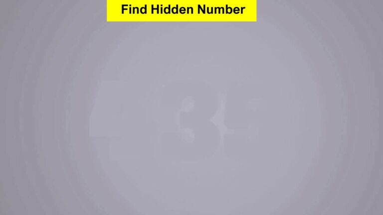 Find the Hidden Number in 6 Seconds