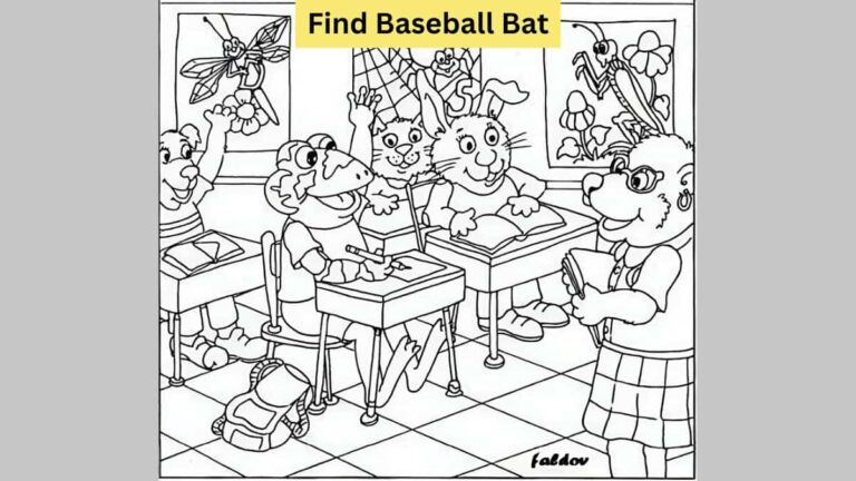 Seek and Find Puzzle: Find the baseball bat in the classroom in 6 seconds