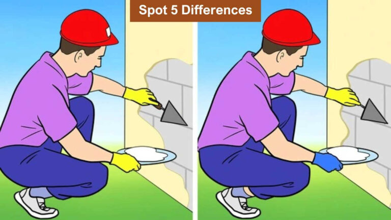 Spot 5 differences between the two builder pictures in 15 seconds