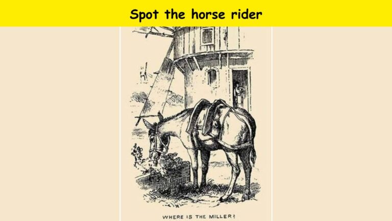 Optical Illusion - Spot the horse rider in 7 seconds 