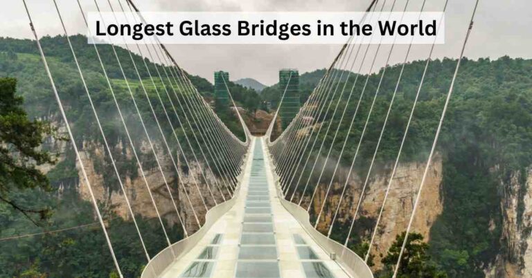 5 Longest Glass Bridges in the World
