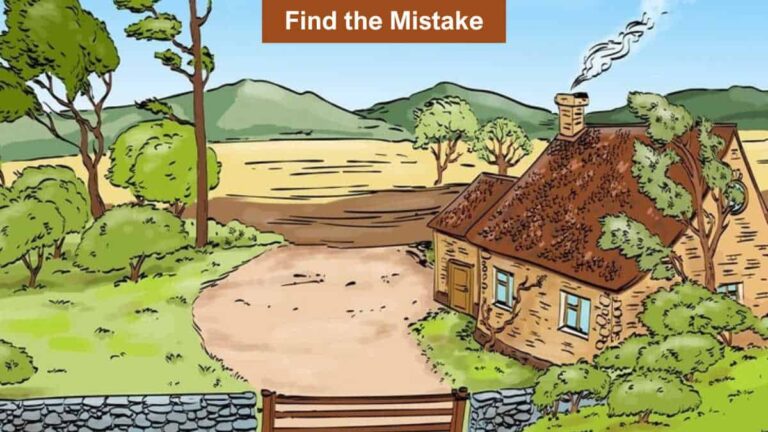 Find the Mistake in the Picture in 6 Seconds