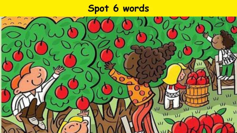 Brain Teaser- Spot 6 words in 24 seconds