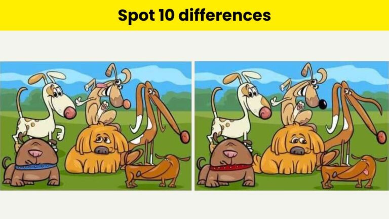 Can you spot 10 differences?