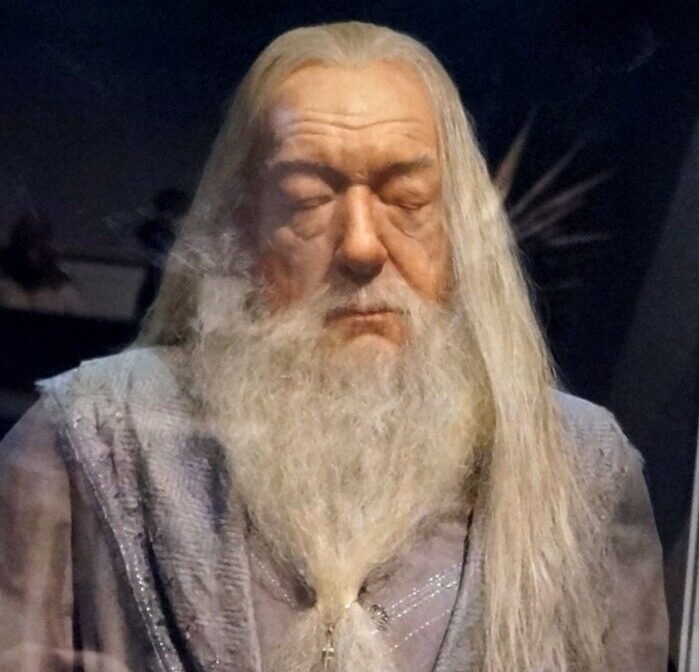 Michael Gambon, actor who played Dumbledore in the 'Harry Potter' films ...