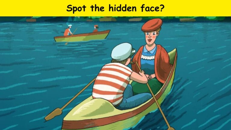 Can you spot the hidden face?