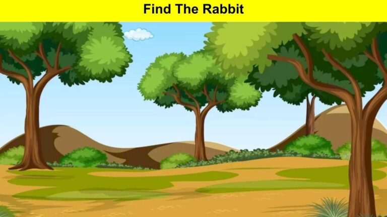 Find the rabbit in this optical illusion challenge.