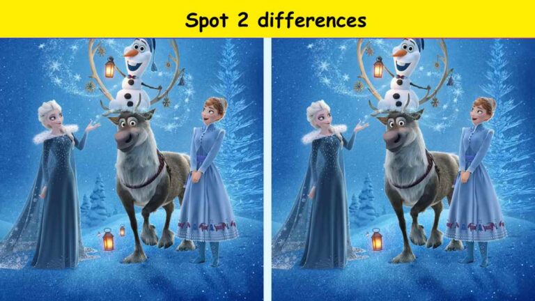 Spot 2 differences in 5 seconds