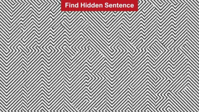 Find the Hidden Sentence in 9 Seconds