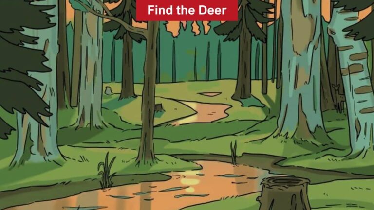 Find the hidden deer in the forest in 6 seconds