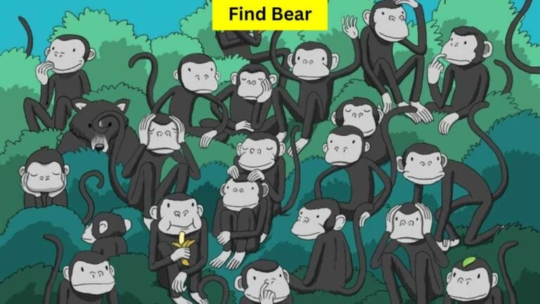 Optical Illusion Visual Challenge: Find a bear among monkeys in 4 seconds