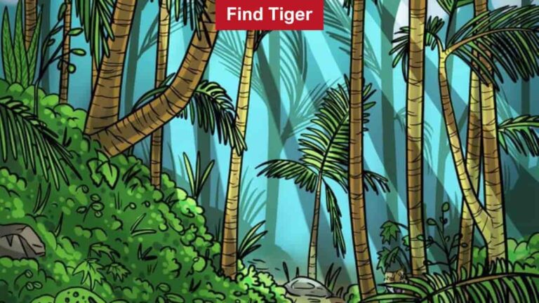 Find Tiger in 9 Seconds