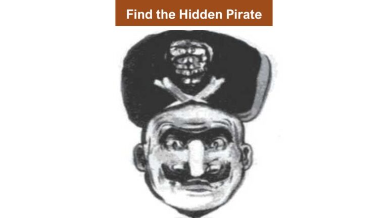Find Hidden Pirate in 5 Seconds