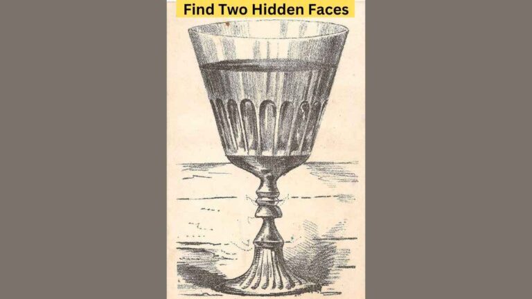 Find two hidden faces in 6 seconds