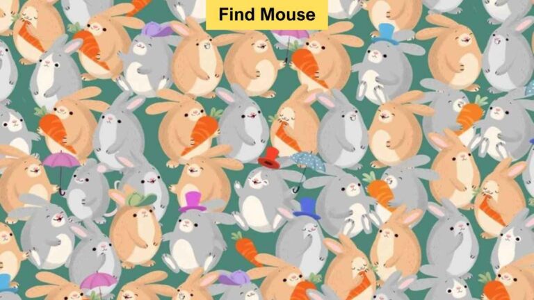 Find the hidden mouse among rabbits in 6 seconds
