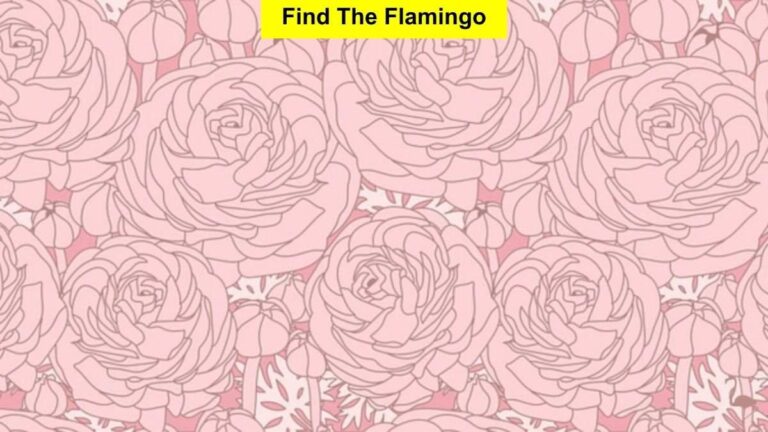 Find the flamingo in this optical illusion challenge.