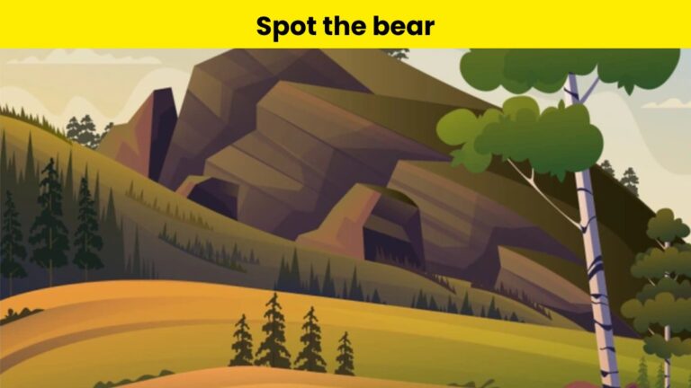Can you spot the bear?