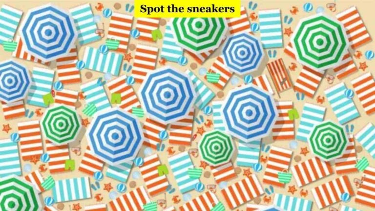 Puzzle IQ Test: If You Have 20/20 Vision Spot A Pair Of Sneakers In 7 Seconds!