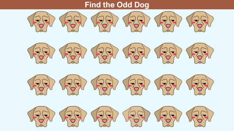 Find the Odd Dog in 4 Seconds