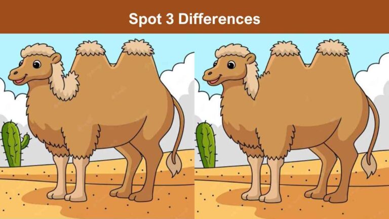 Spot 3 Differences in 11 Seconds