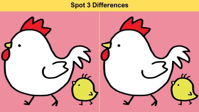 Spot 3 Differences in 11 Seconds