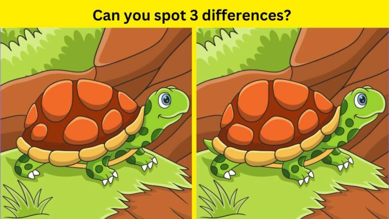 Can you spot the differences?