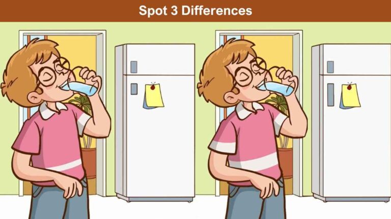 Spot 3 Differences in 9 Seconds