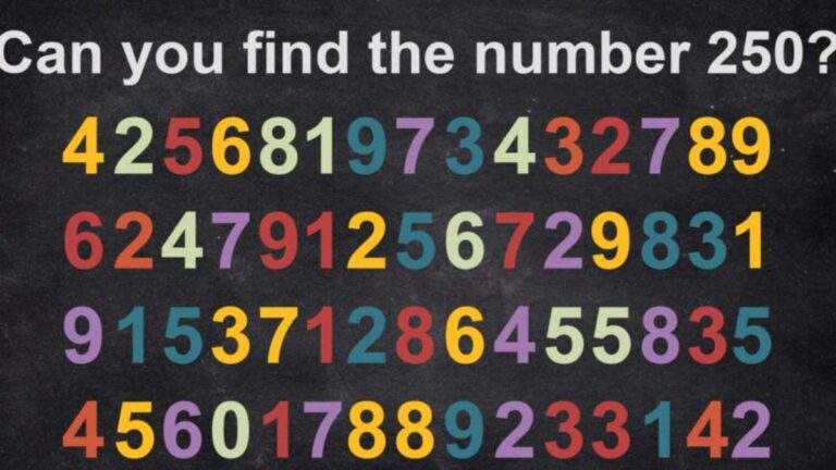 Find The Number 250