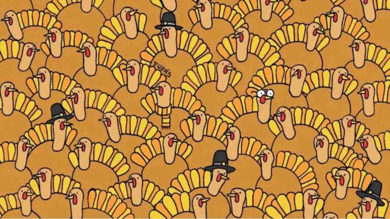 Visual Puzzle: Find The Pumpkin Among Turkeys.