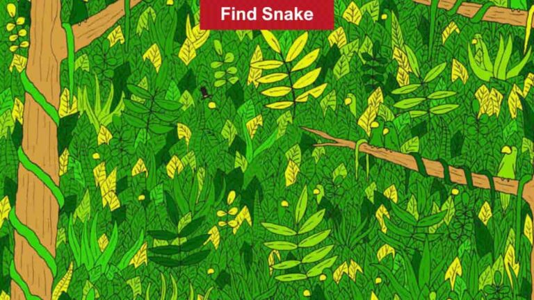 Find Hidden Snake in 9 Seconds