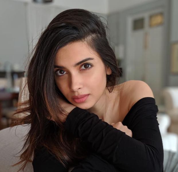 Diana Penty Wiki, Height, Age, Boyfriend, Husband, Family, Biography ...