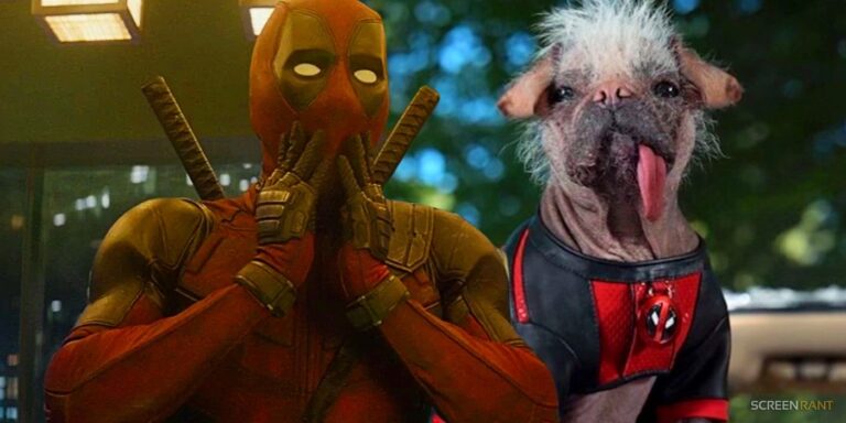 First Official Deadpool 3 Photo Released In 5 Months Reveals Ryan Reynolds’ Wade Wilson With Dogpool