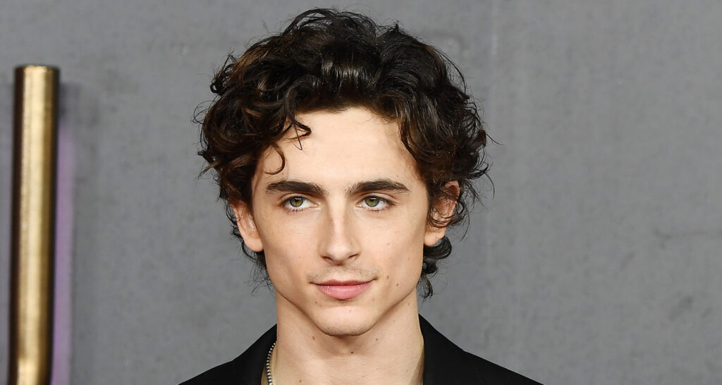 Timothee Chalamet on Working with Zendaya, Austin Butler and Florence ...