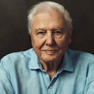 David Attenborough - Updated February 2024 - vcmp.edu.vn