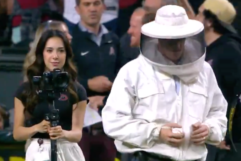 ‘Bee Guy’ Wins Over MLB Crowd With Beehive Elimination After 2-Hour Delay, Throws Out First Pitch